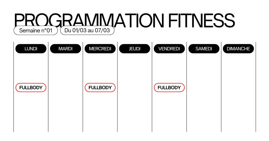 FullBody_programme